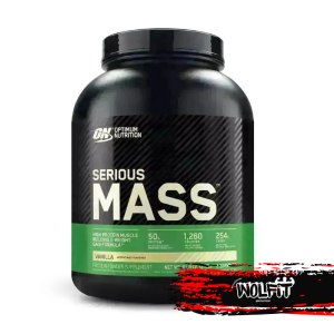 Serious Mass 12LB